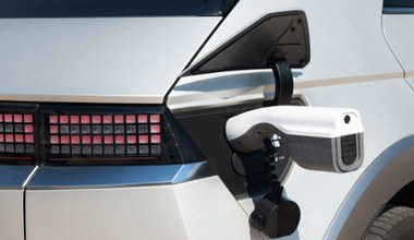 Tak samochodów reklamować nie wolno. Dwie marki wprowadzały klientów w błąd