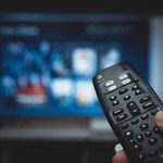 Tak się zarabia na małym ekranie w Polsce. Produkcja seriali dała im miliony