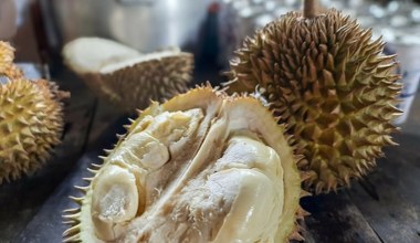 Tak śmierdziało, że wezwali straż pożarną. Powód był zaskakujący