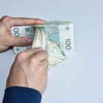 Pracownicze Plany Kapitałowe