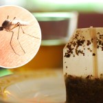 Tak szybko pozbędziesz się swędzącego bąbla. Niezawodny sposób