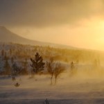 Tak tragicznej sytuacji nie było od dekady. Ogromne straty po przejściu sztormu Johannes