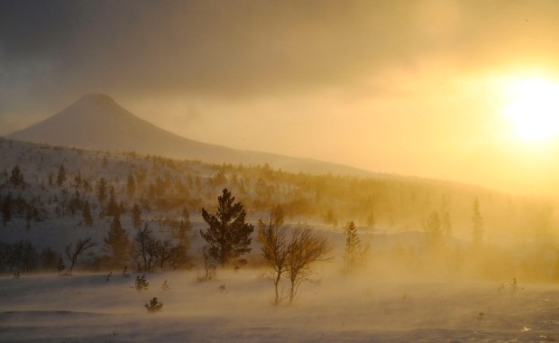Tak tragicznej sytuacji nie było od dekady. Ogromne straty po przejściu sztormu Johannes