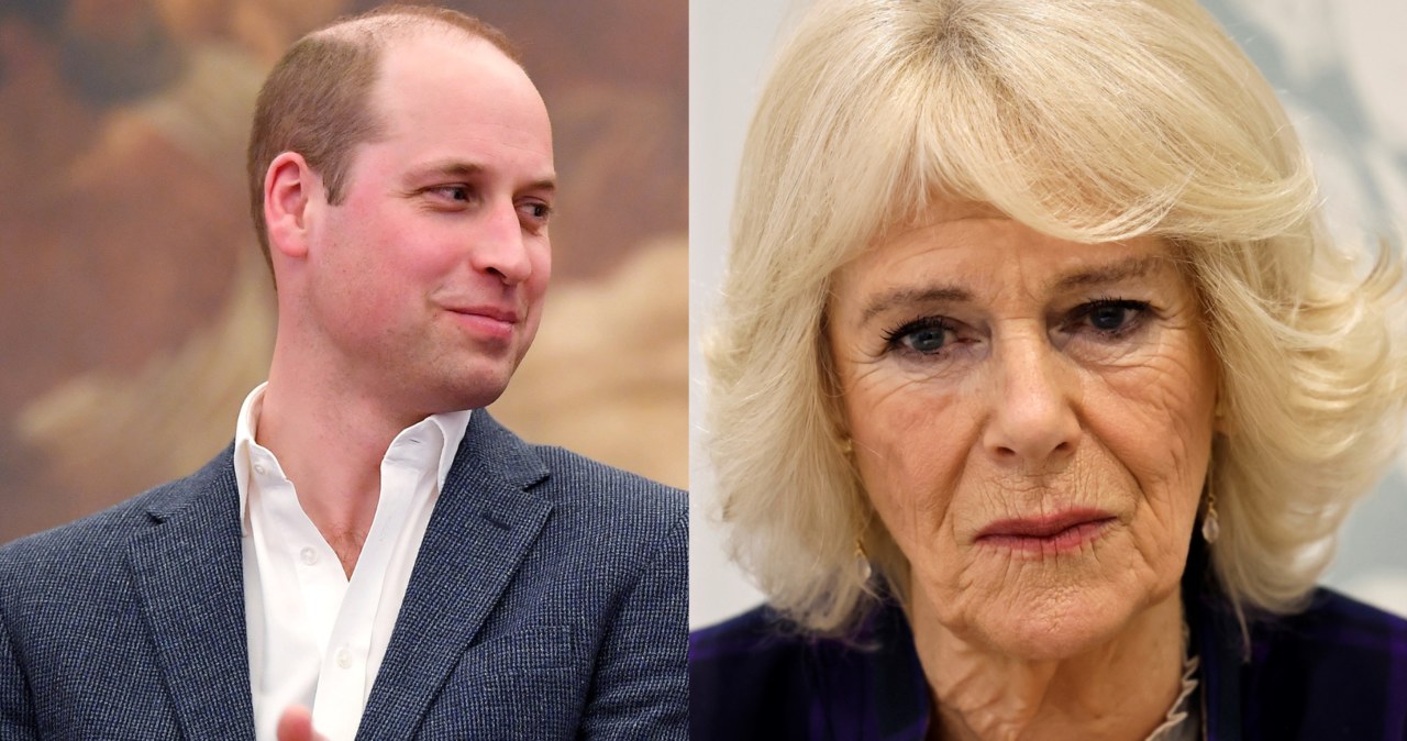 Tak właśnie wygląda relacja Williama z Camilla? /WPA Pool /Getty Images