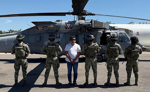 Tak wpadł "Ogrodnik". Baron narkotykowy próbował ukryć się w rowie