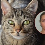 Miasto we Włoszech.