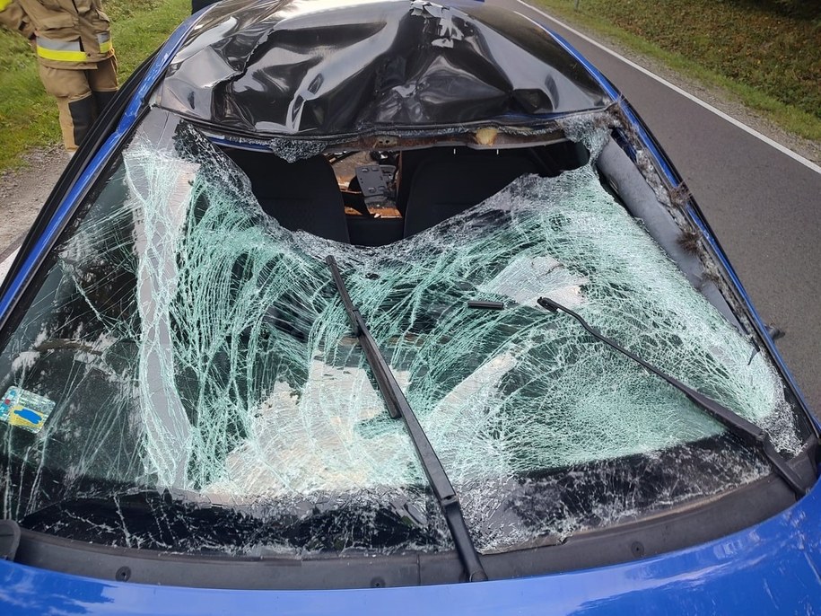 Tak wygląda auto po zderzeniu z łosiem /KPP Lubaczów /Policja