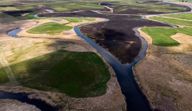 Tak wygląda Biebrzański Park Narodowy po pożarze