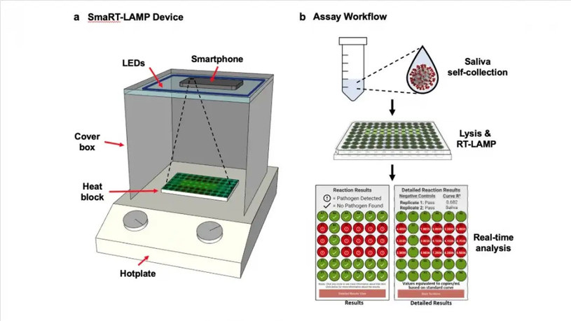 Tak wygląda cały system domowego testowania smaRT-LAMP /University of California /materiały prasowe