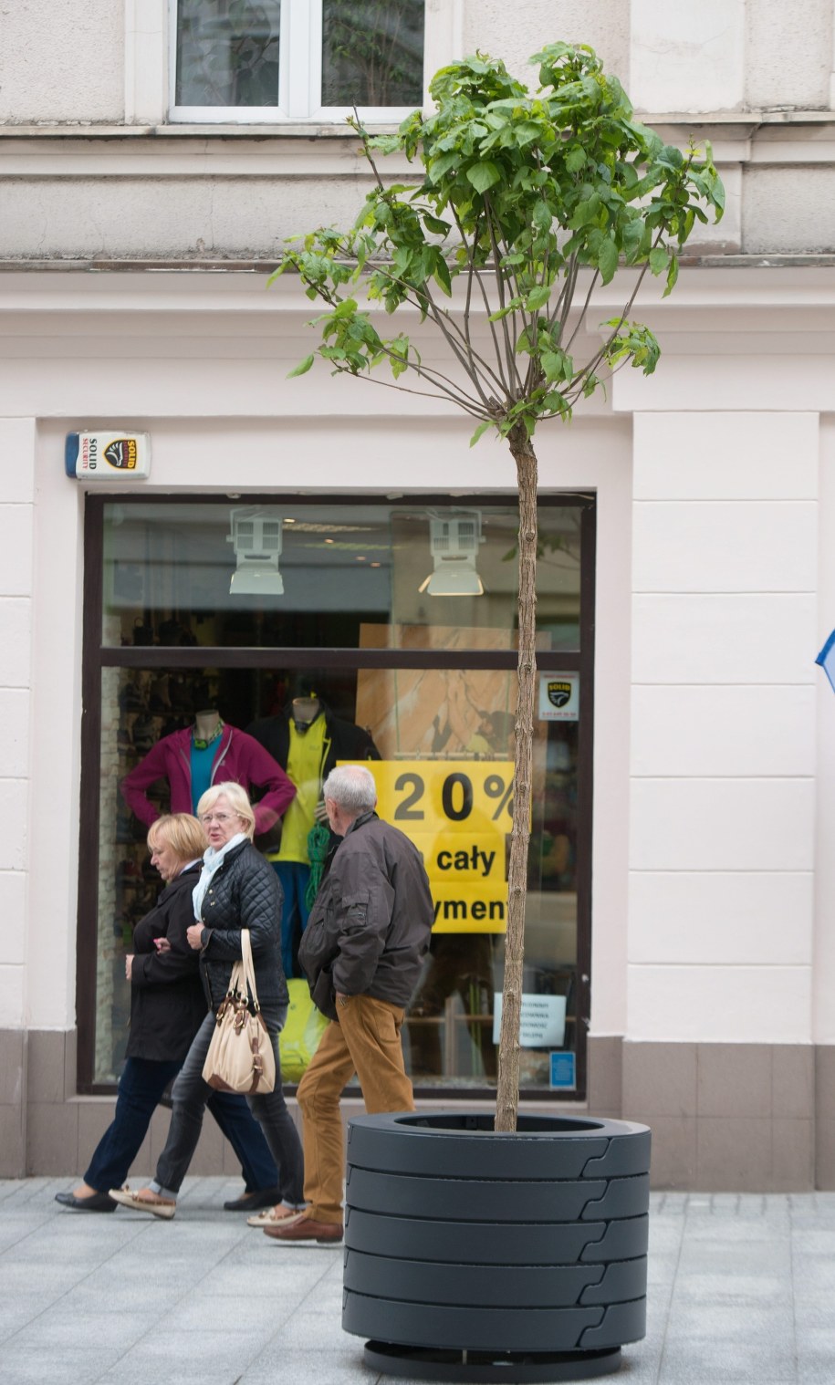 Tak wygląda jedno z kontrowersyjnych drzewek /Grzegorz Michałowski /PAP
