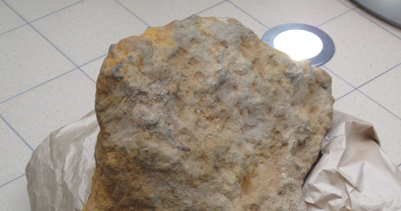 Tak wygląda największy meteoryt znaleziony w Polsce 