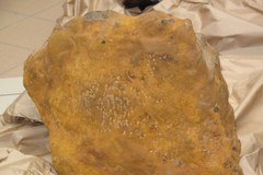 Tak wygląda największy meteoryt znaleziony w Polsce 
