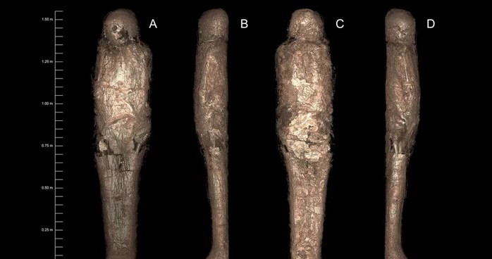 Tak wygląda niezwykła mumia błotna /materiały prasowe