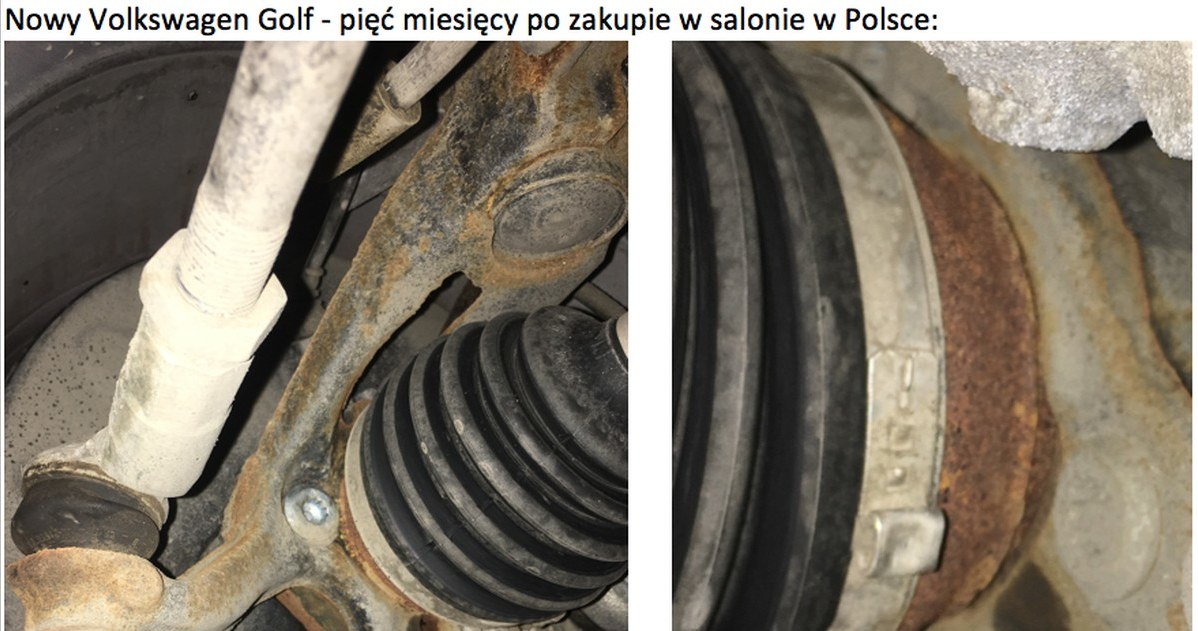 Tak wygląda półroczny VW Golf. Czy to groźne? /Informacja prasowa