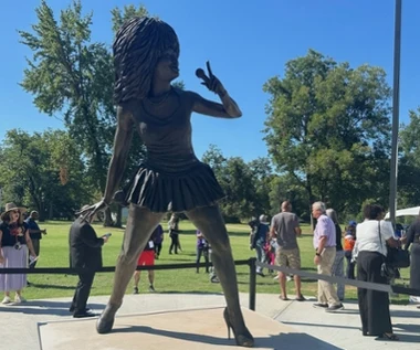 Tak wygląda pomnik Tiny Turner. Internauci nie szczędzą kpin