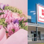 Tak wygląda prezent na Dzień Babci i Dziadka, który zawsze się sprawdza