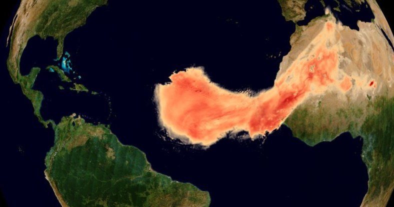 Tak wygląda pył znad Sahary przemierzający ocean /materiały prasowe