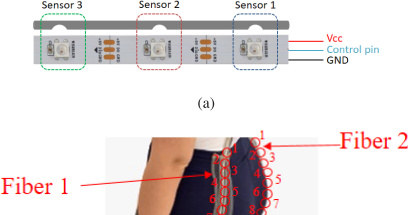 Tak wygląda schemat inteligentnych spodni /Leticia Avellar, Anselmo Frizera, and Arnaldo Leal-Junior, "POF Smart Pants: a fully portable optical fiber-integrated smart textile for remote monitoring of lower limb biomechanics," Biomed. Opt. Exp /materiały prasowe