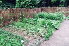 Tak wygląda Skansen Roślinny