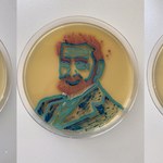 Tak wygląda sztuka mikrobiologii. Studentka z Poznania maluje bakteriami