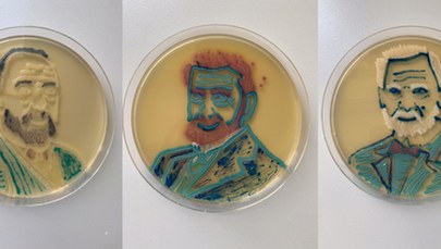 Tak wygląda sztuka mikrobiologii. Studentka z Poznania maluje bakteriami