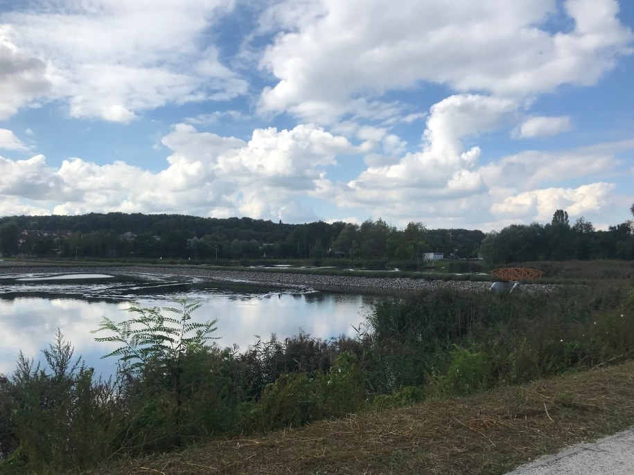 Tak wygląda teraz staw Kalina /Marcin Buczek /RMF FM