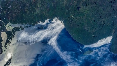Tak wygląda tsunami z kosmosu. Naukowcy odkryli zaskakujące zjawisko