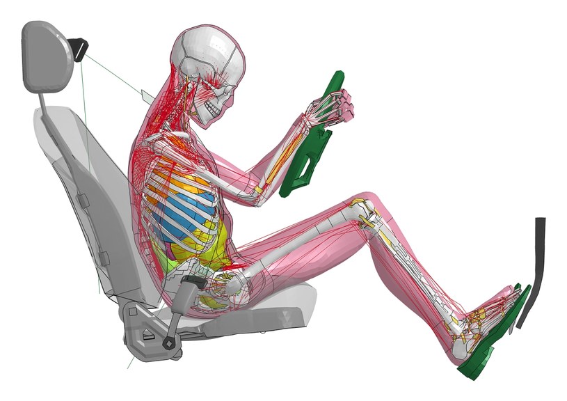 Tak wygląda wirtualny model ludzkiego ciała w stanie napięcia /Informacja prasowa