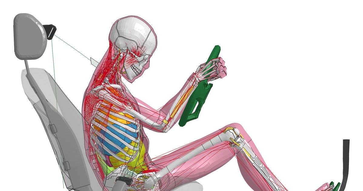Tak wygląda wirtualny model ludzkiego ciała w stanie napięcia /Informacja prasowa