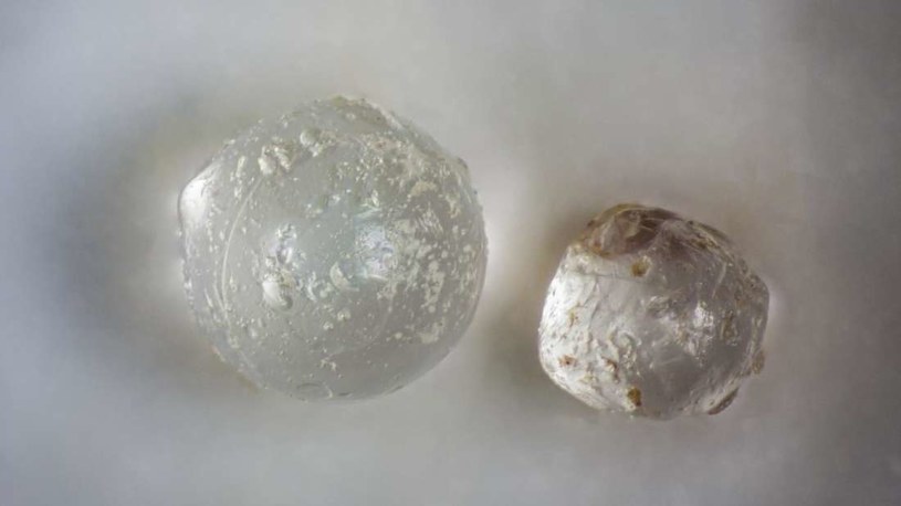 Tak wyglądają perły powstałe wokół fragmentów meteorytów /materiały prasowe