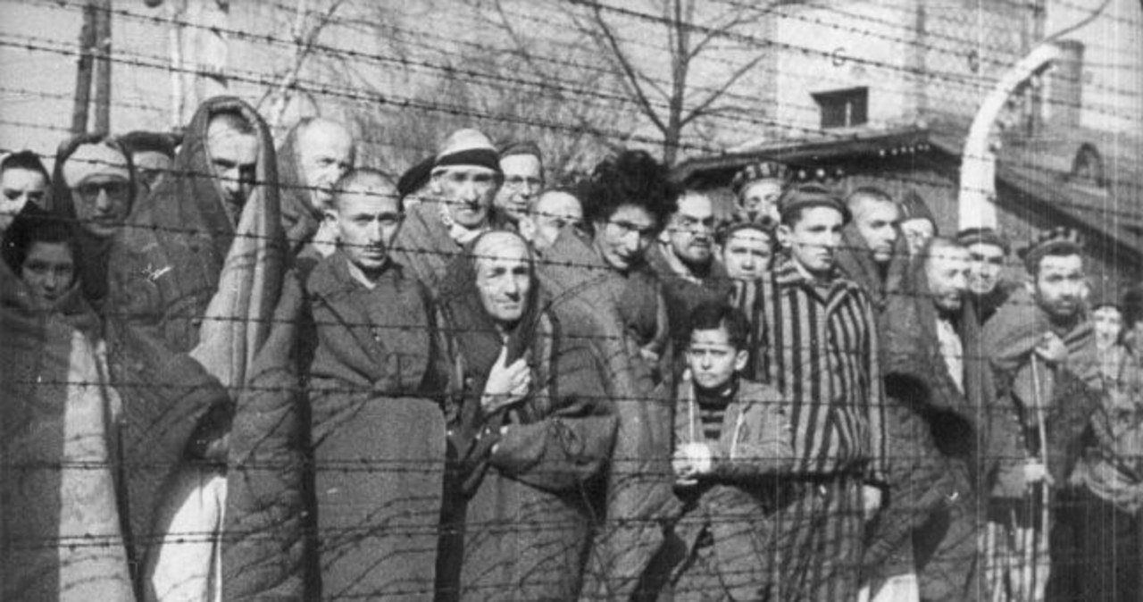 Tak wyglądał KL Auschwitz po wyzwoleniu