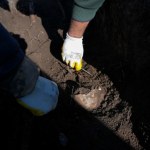 Tak wyglądała medycyna Rzymian. Archeolodzy mają dowód