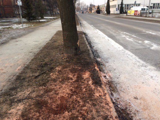 Tak wyglądało miejsce wypadku w sobotę o poranku /Anna Kropaczek /RMF FM