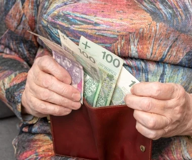 Tak wzrasta emerytura po roku pracy. ZUS pokazał dane
