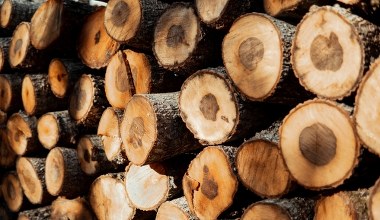 Tak znacznie szybciej wysuszysz drewno opałowe. Wystarczy, że zrobisz to