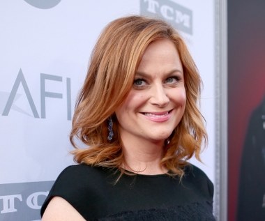 Taką samą kwotę zainkasowała w ciągu ostatnich 12 miesięcy Amy Poehler. Przyczyniły się do tego rola w serialu "Parks and Recreation" oraz gościnny udział w produkcji Netflixa "Wet Hot American Summer: First Day of Camp".