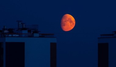 Taki Księżyc zdarza się raz na kilka lat. Wyjątkowe zjawisko na niebie