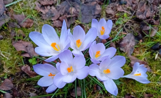 Takich świąt dawno nie było. Na termometrach ponad 20 stopni 