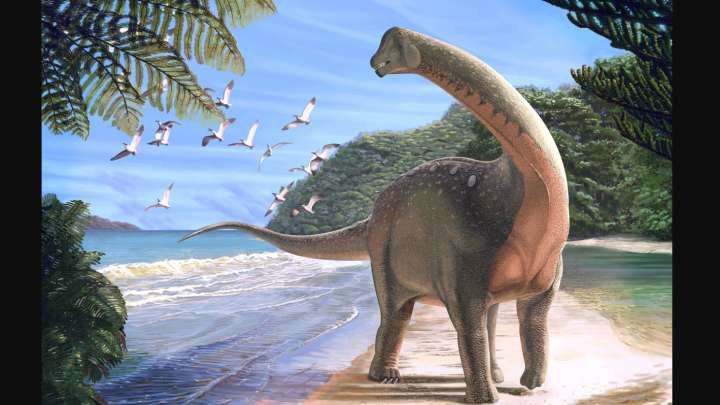 Takie dinozaury kiedyś żyły w Afryce /materiały prasowe
