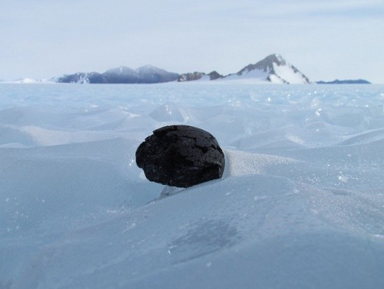 Takie skarby można znaleźć tylko na Antarktydzie /fot. Katherine Joy /materiały prasowe