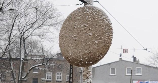 Takie sytuacje się zdarzają... / Fot: Przemysław Jach /Agencja SE/East News