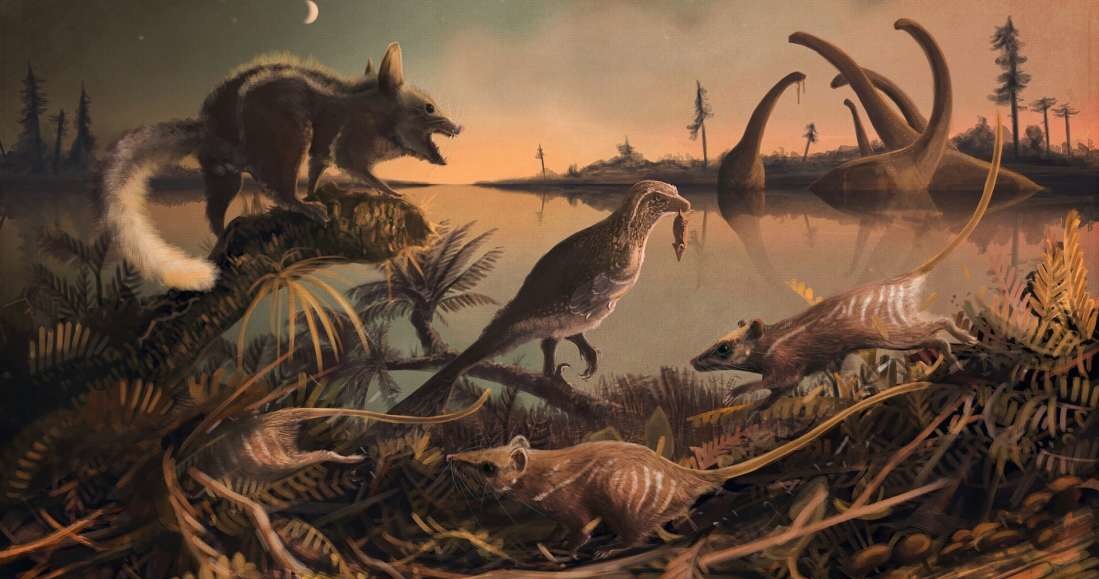 Takie zwierzęta przemierzały świat dinozaurów /materiały prasowe