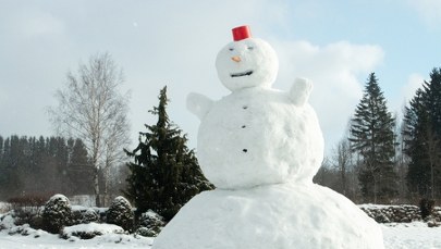 Takiego bałwana Holandia nie widziała! Jest nowy rekord