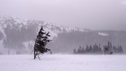 Takiego huraganu w Norwegii nie było od 30 lat. Wiatr z prędkością 185 km/h  