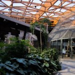 Takiego miejsca jeszcze w Polsce nie było. Łódzkie zoo szykuje przełom