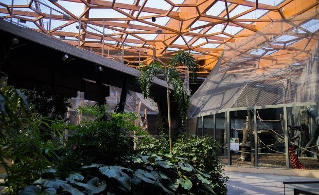 Takiego miejsca jeszcze w Polsce nie było. Łódzkie zoo szykuje przełom