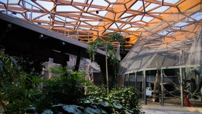 Takiego miejsca jeszcze w Polsce nie było. Łódzkie zoo szykuje przełom