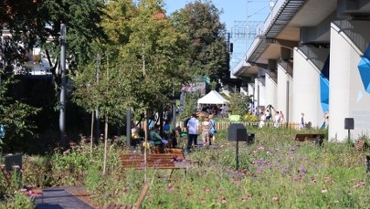 Takiego parku w Krakowie jeszcze nie było. Zobacz wyjątkową przestrzeń w mieście  