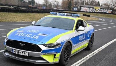 Takiego radiowozu jeszcze nie było. Skonfiskowany Mustang zasilił flotę policji