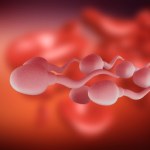 Takiego wyścigu jeszcze nie było. Pierwsze Grand Prix plemników